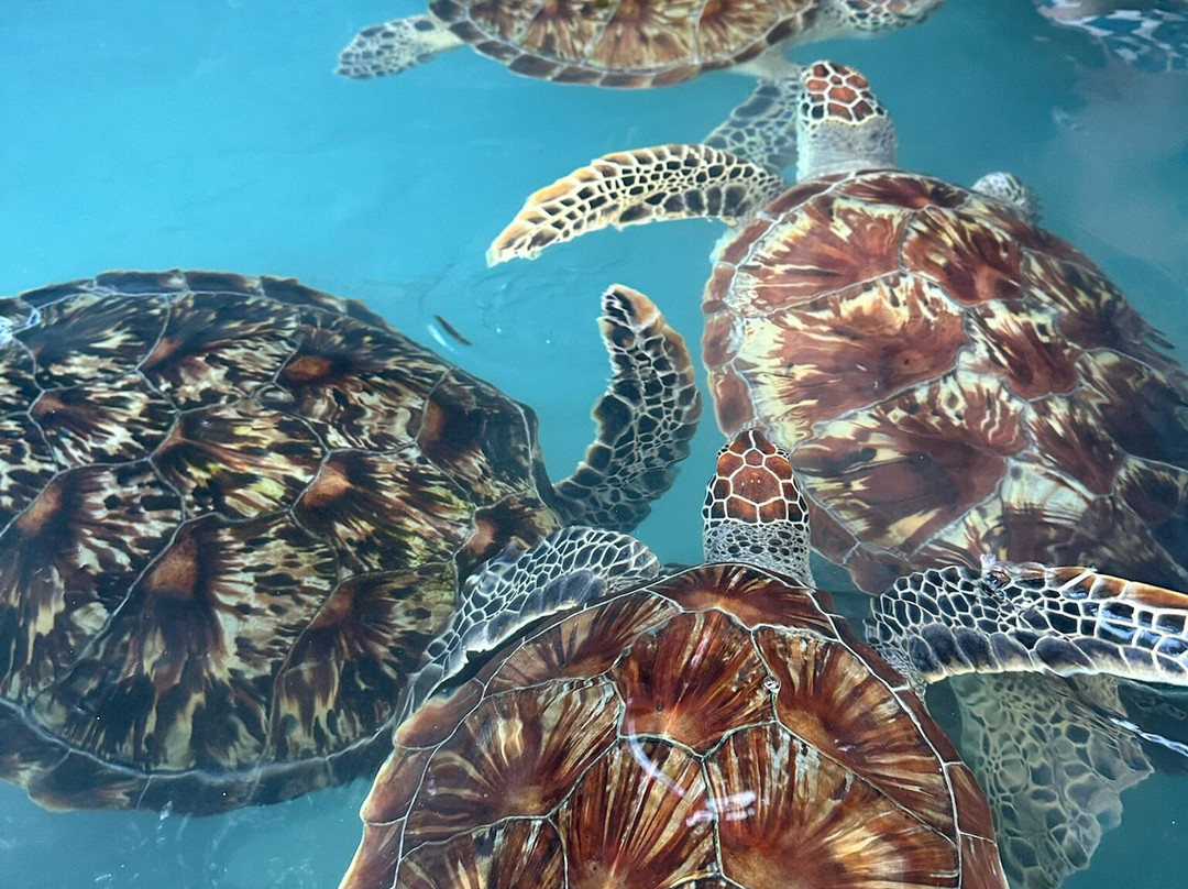 EXPLORER TOURS AND SAFARIS-乌罗阿必去景点