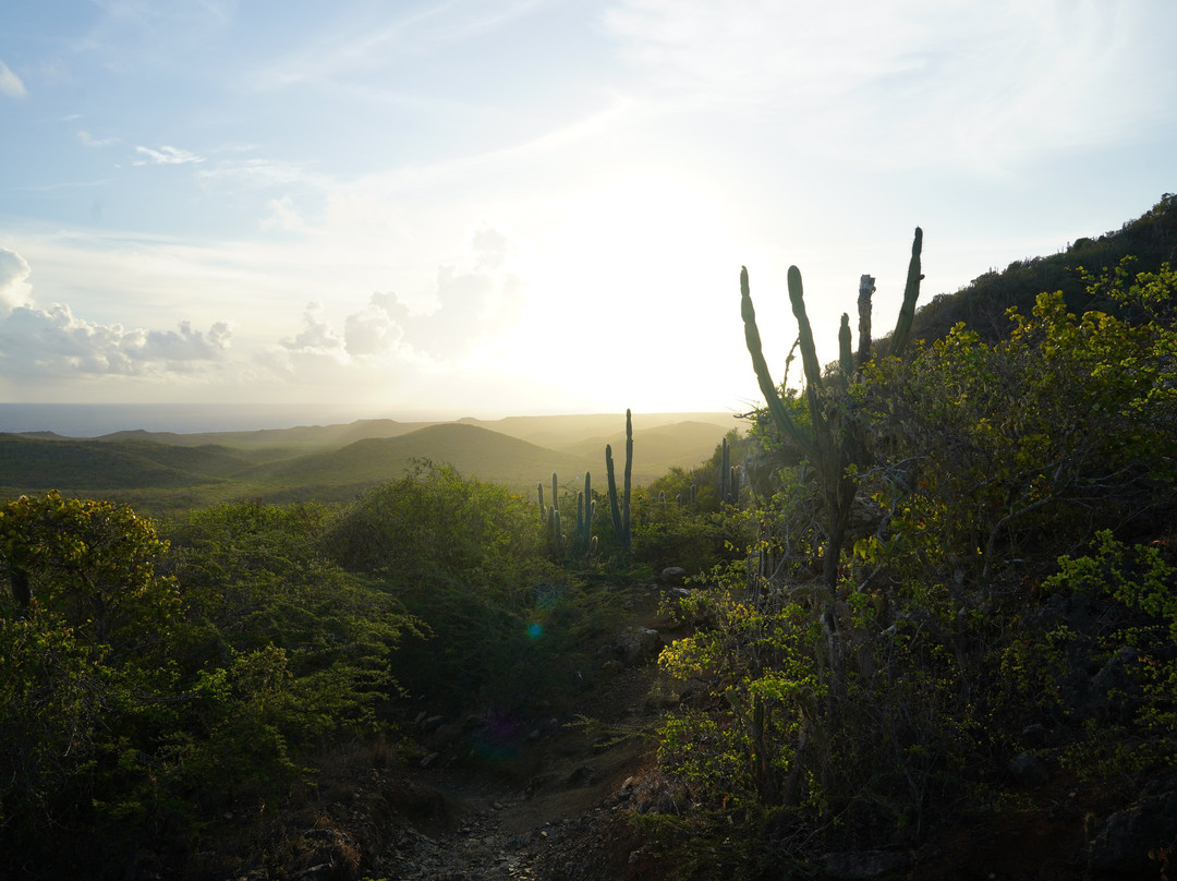 Mount Christoffel-Christoffel National Park必去景点
