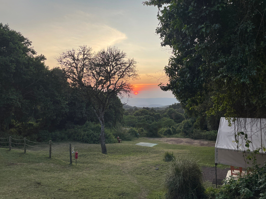 Thomson Safaris-塞伦盖蒂国家公园必去景点