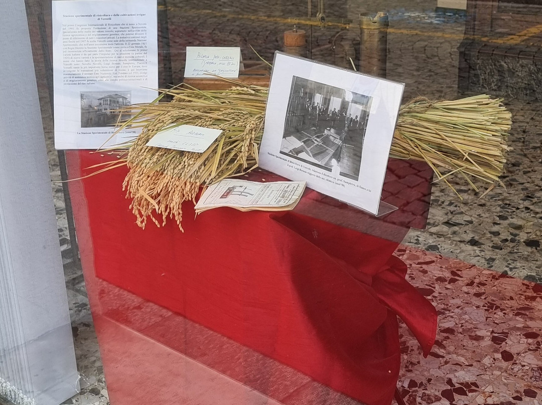 Museo della Farmacia Picciola-韦尔切利必去景点