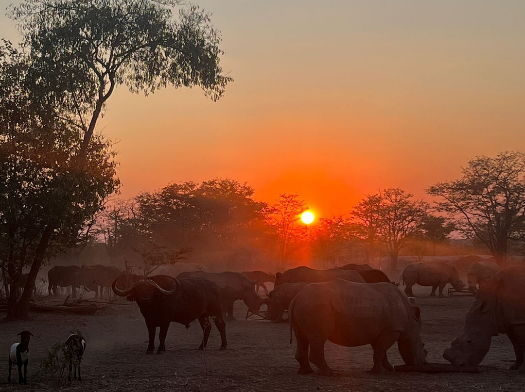 Sukulu Reserve-李文斯顿必去景点