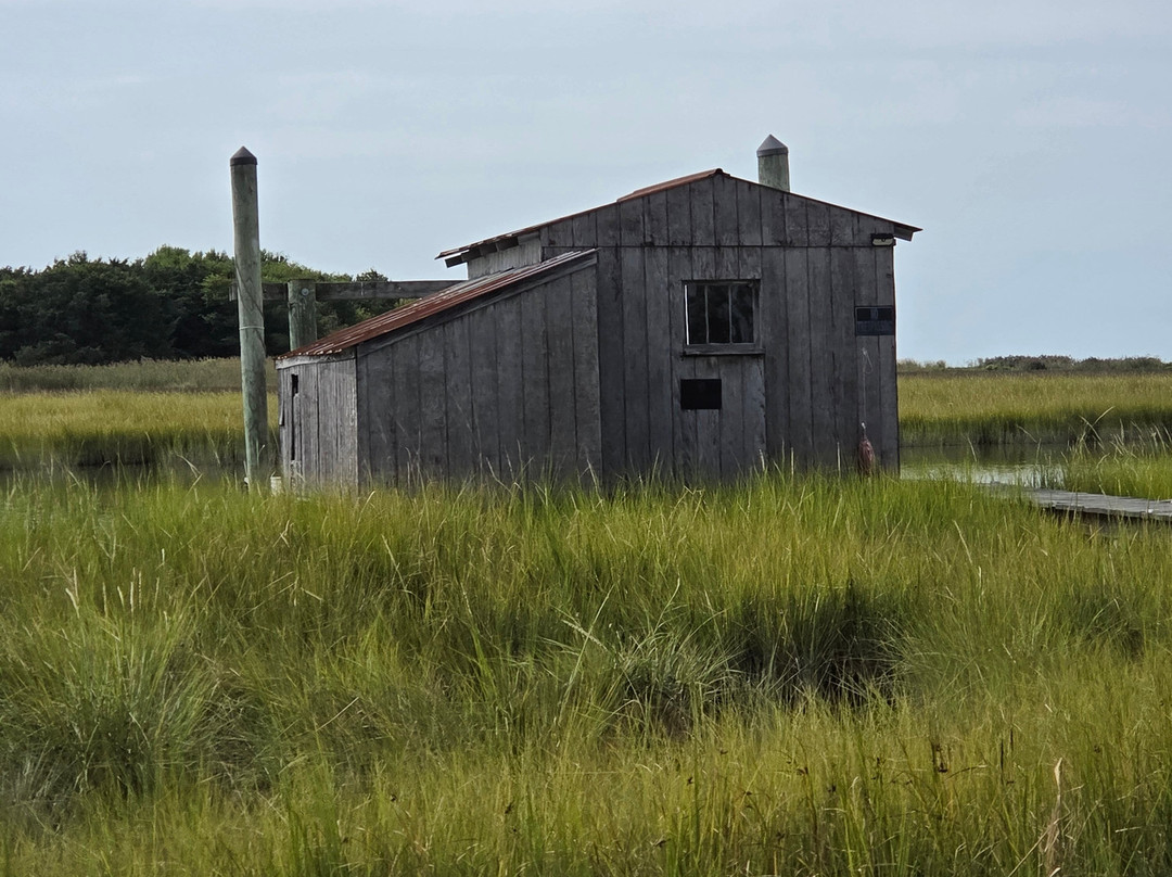 Smith Island Cruises-Crisfield必去景点