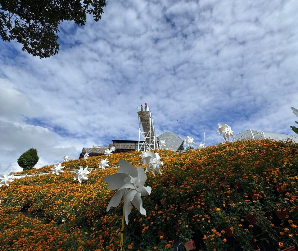 Cameron Highlands Flora Park-碧兰璋必去景点