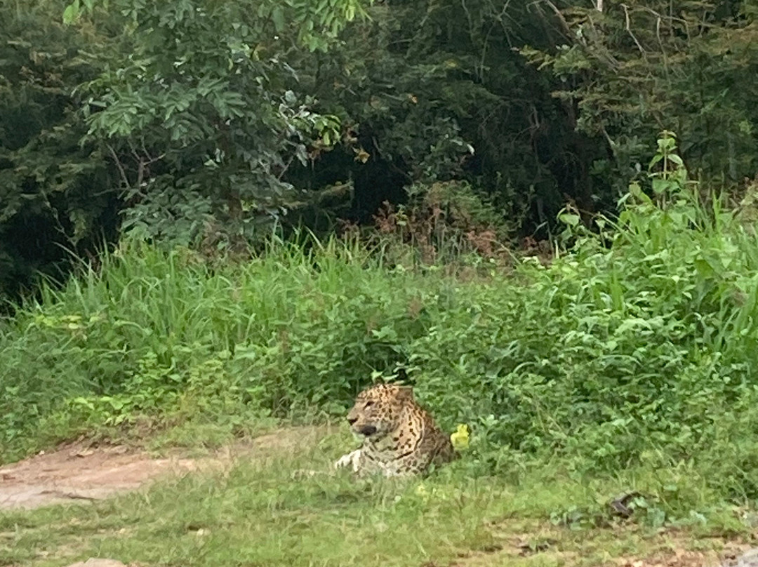 Bannerghatta Biological Park-班加罗尔必去景点
