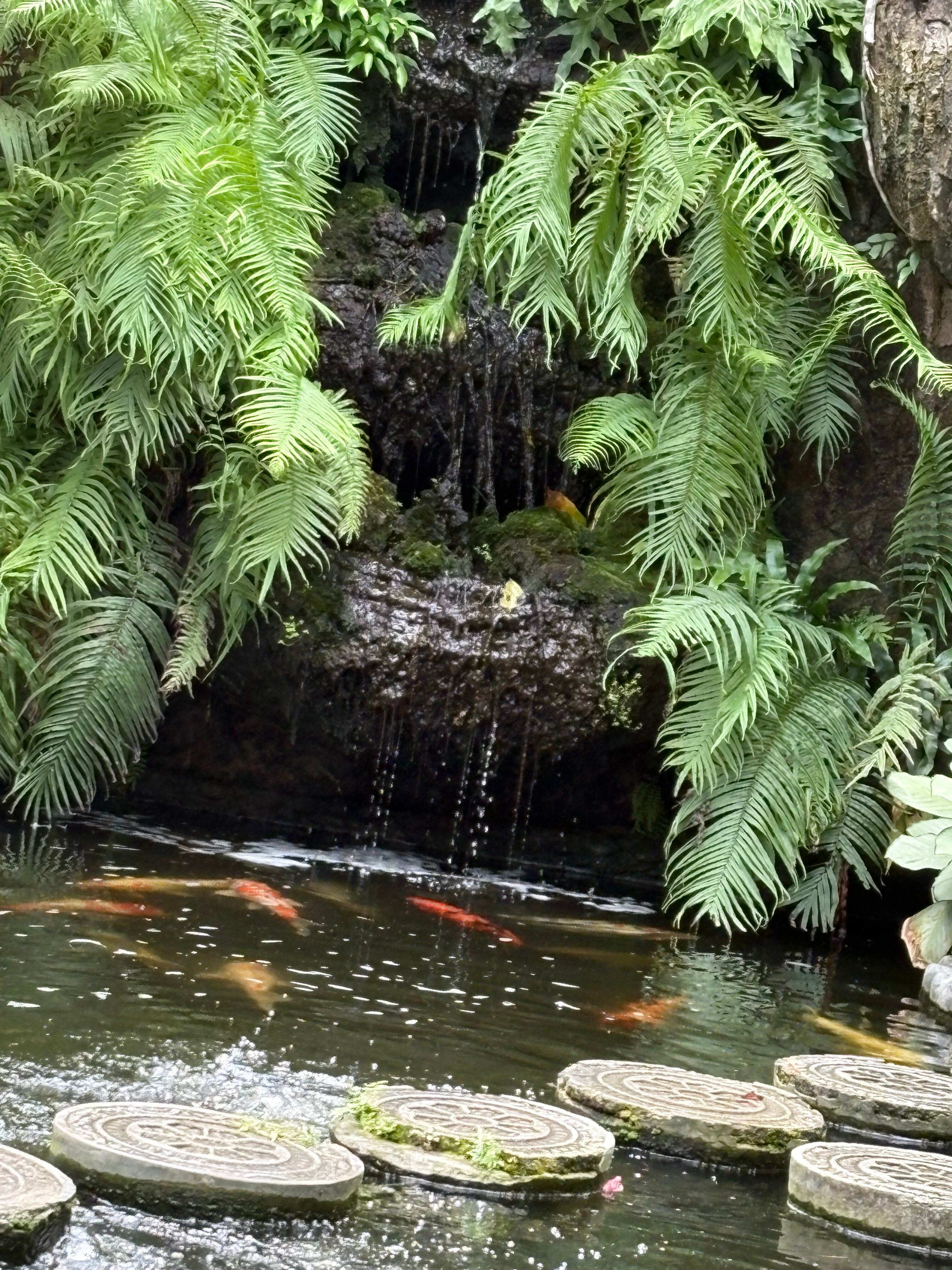 The Village of Angels-官方