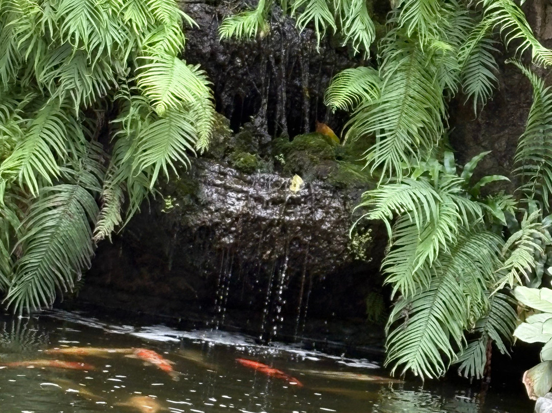 The Village of Angels主图