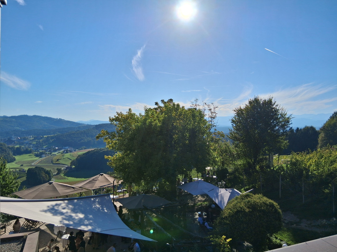 Weingartenhotel Harkamp Sudsteiermark主图