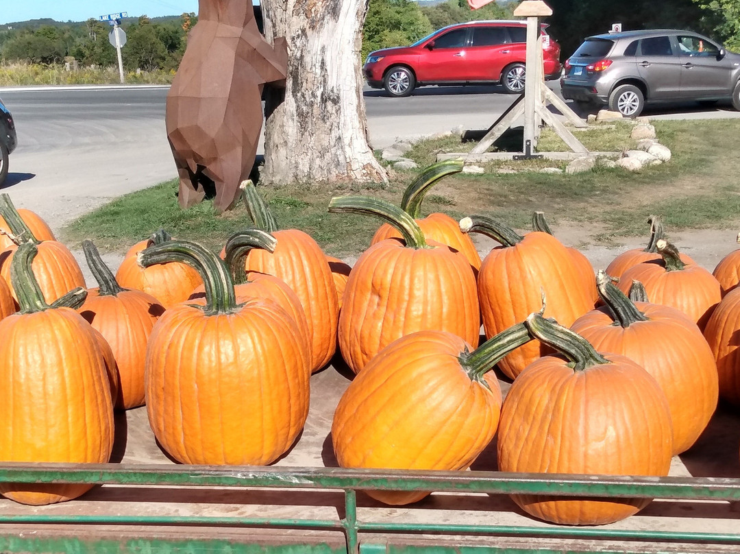 Hy Hope Farm-Ashburn必去景点