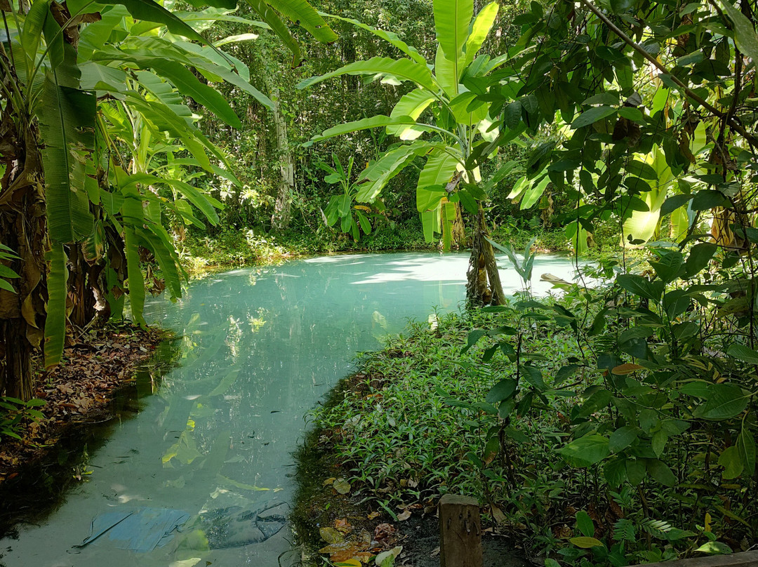 Explore Jalapão-Ponte Alta do Tocantins必去景点