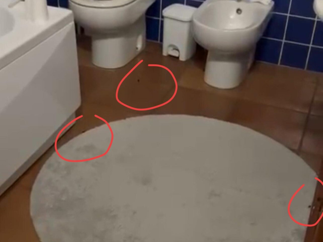 Pegola酒店住宿-Agriturismo Sabidor