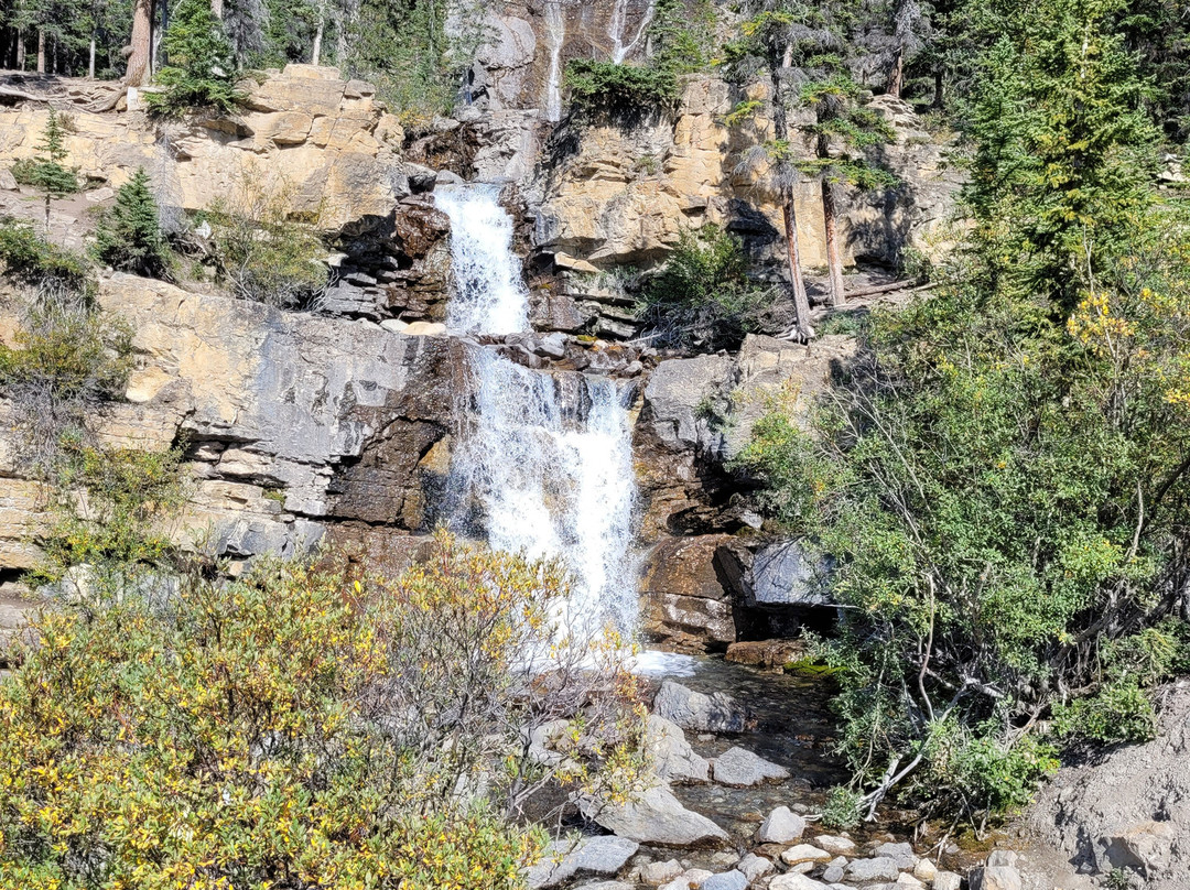 Tangle Creek Falls-贾斯珀国家公园必去景点