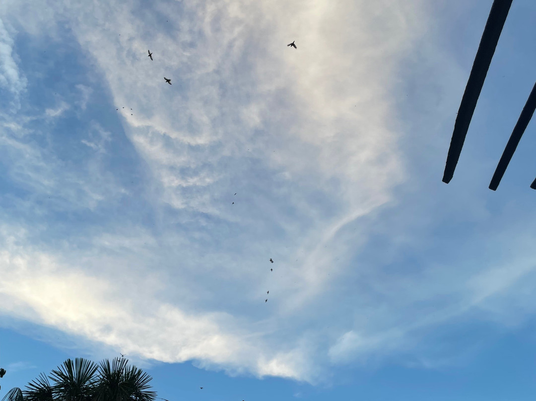 Parque Santander-莱蒂西亚必去景点