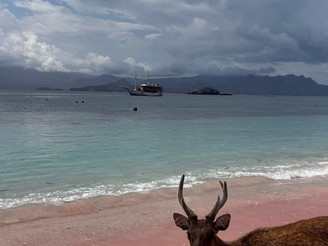 Kareem The Explorer-龙目岛必去景点