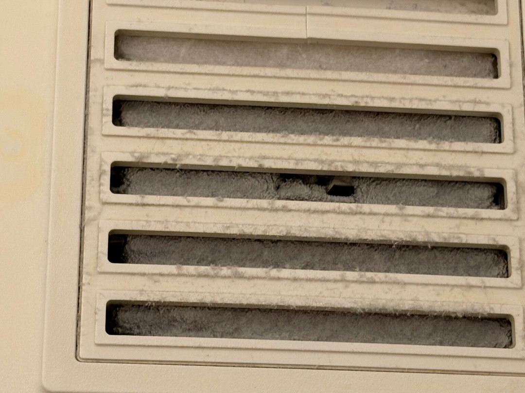 Residenz Limburgerhof主图