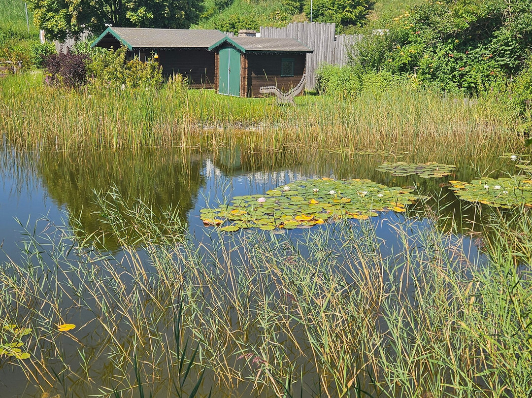 Haubiversum - Die Brot-Erlebniswelt von Haubis-Petzenkirchen必去景点