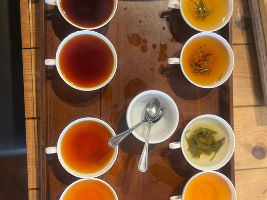 Travel With Sri-Ja Ela必去景点