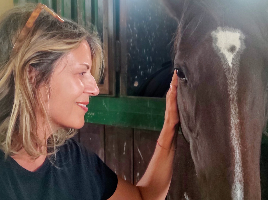 Tre Stelle Sa Mandra-阿尔盖罗必去景点