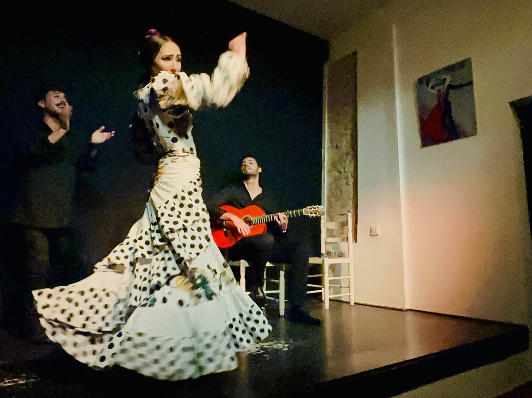 Tablao Flamenco La Exclusiva-塞维利亚必去景点