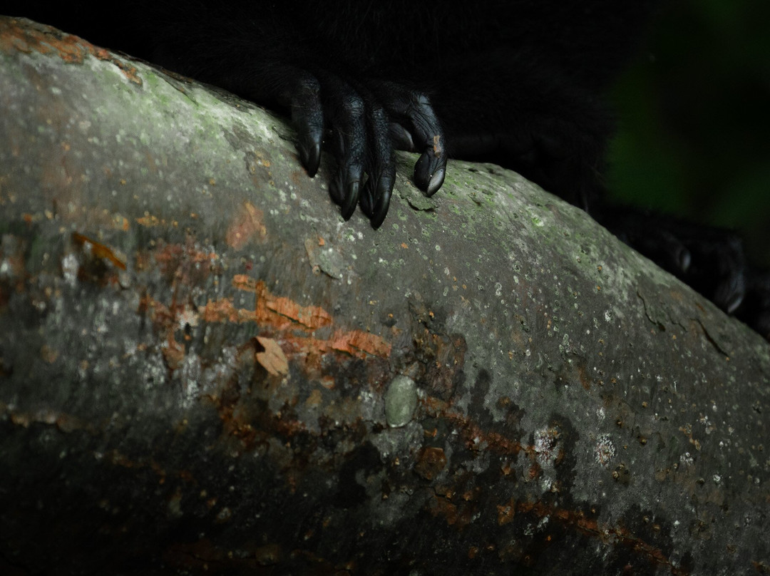 Panama Road Trips-巴拿马城必去景点