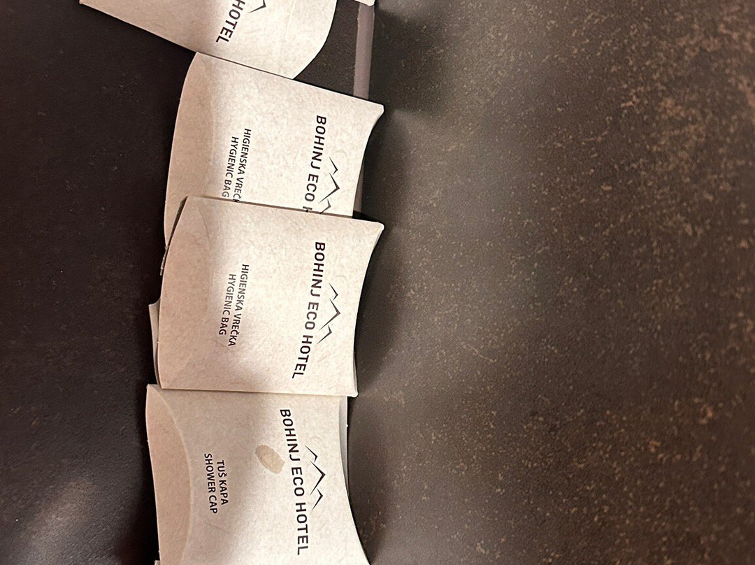 Bohinj ECO Hotel主图