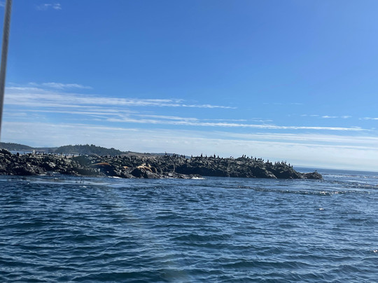 All Aboard Sailing-星期五港湾必去景点