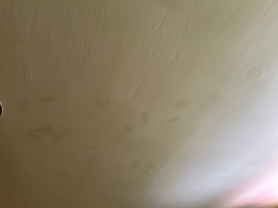 Inti Sisa Art Guesthouse主图