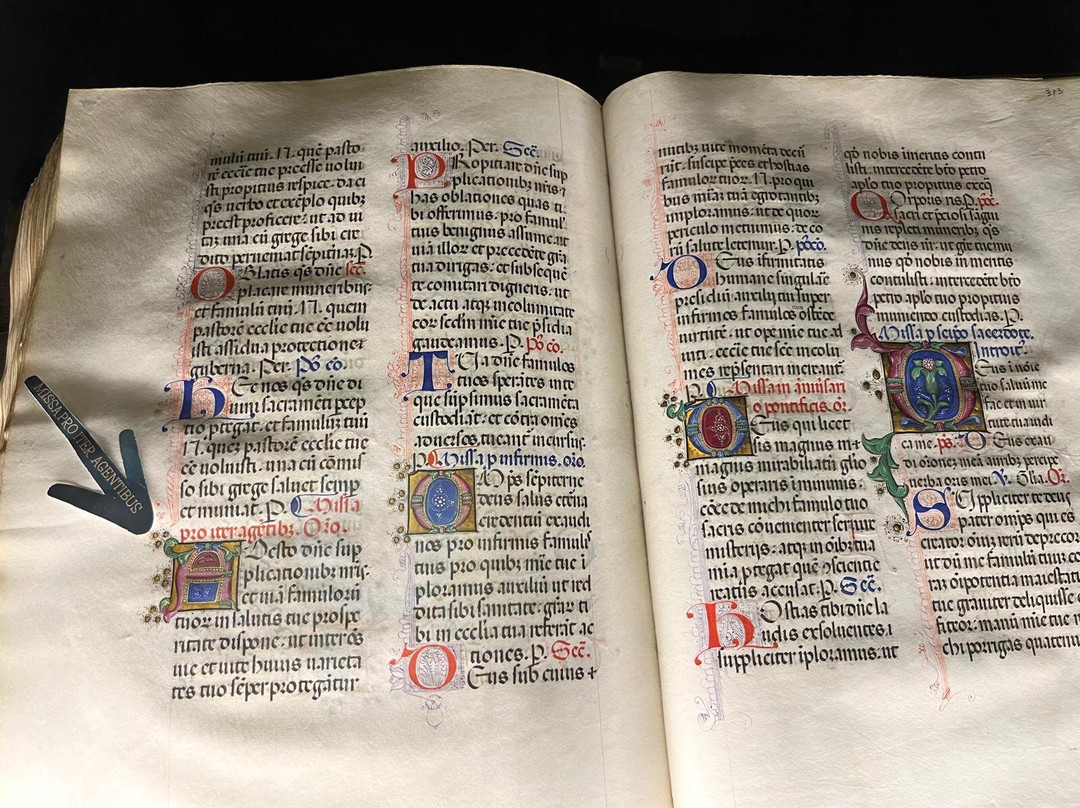 Biblioteca del Seminario-Casale Monferrato必去景点
