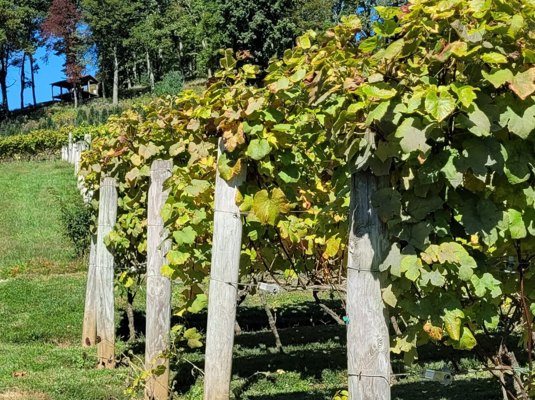 Linville Falls Winery-Newland必去景点