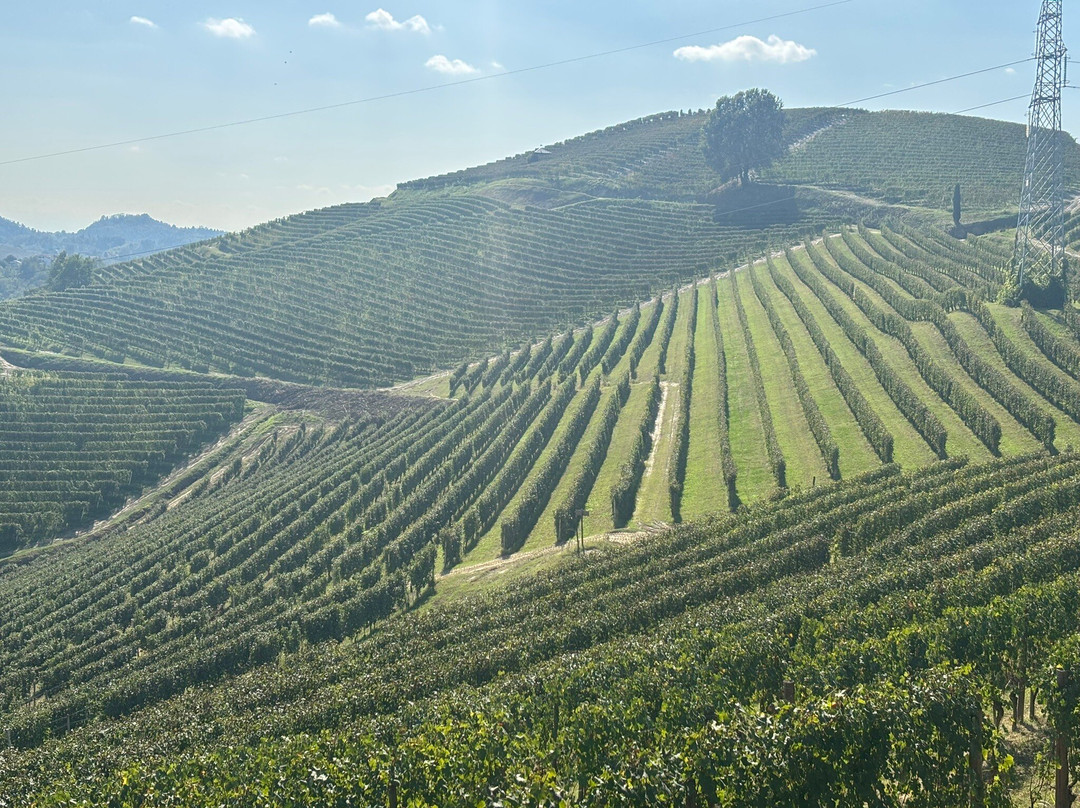 Villa Tiboldi - hotel主图