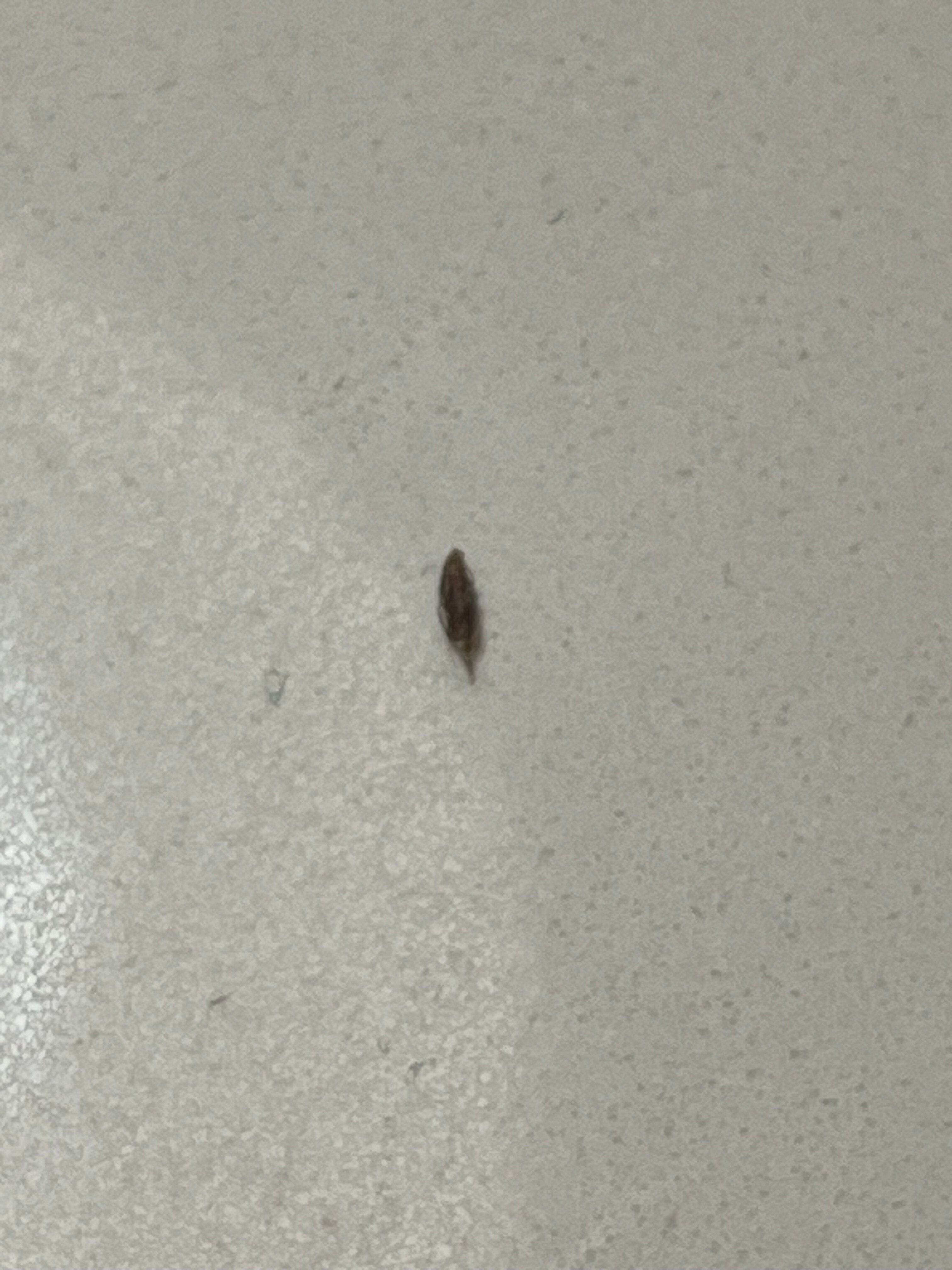 Fairfield by Marriott Inn & Suites Aberdeen-客卧