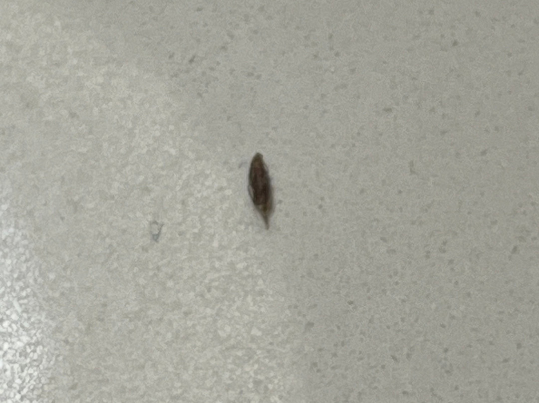 Fairfield by Marriott Inn & Suites Aberdeen主图