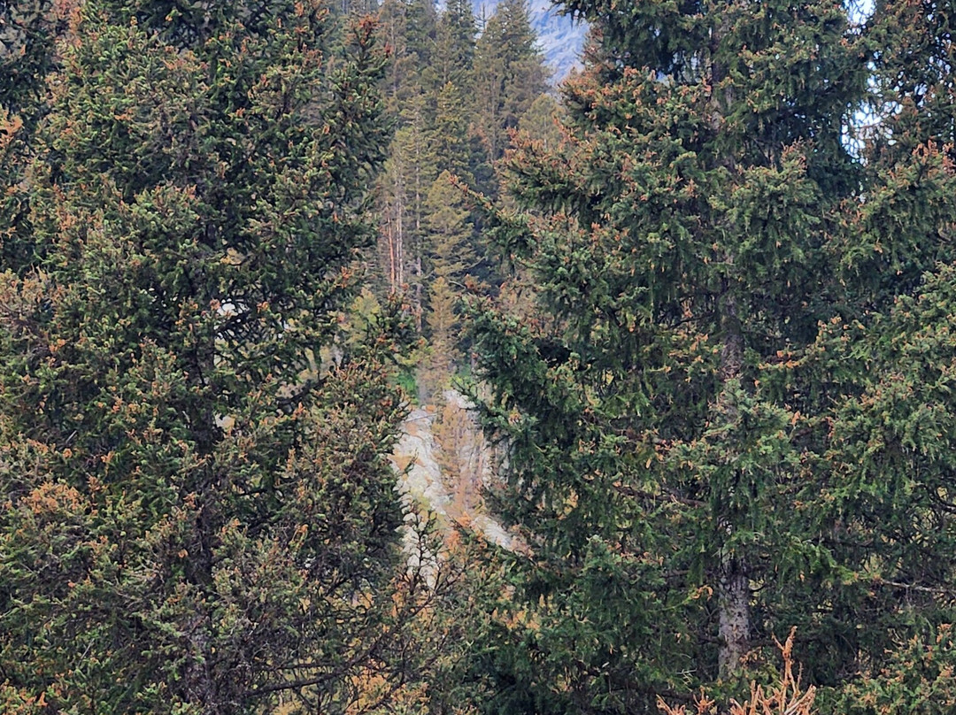 Cascade Canyon Trail-大提顿国家公园必去景点