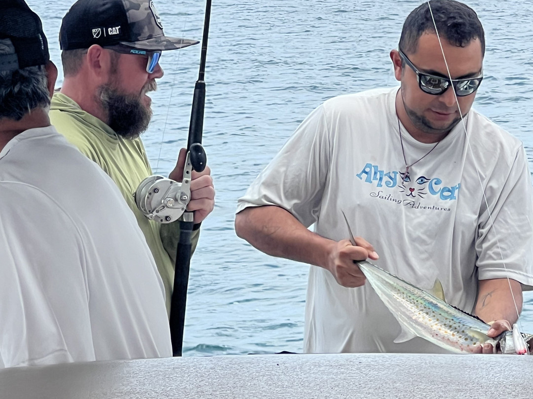 Ally Cat Sailing Adventures-利他必去景点