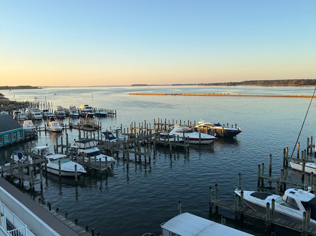 Hyatt Place Kent Narrows & Marina主图