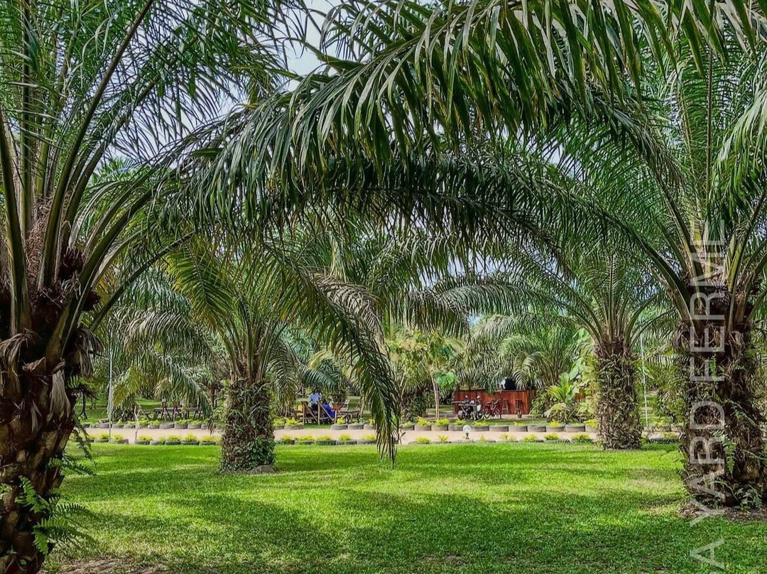 La Ferme Amba Yard