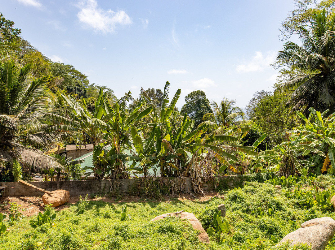 Le Jardin Du Roi Spice Garden-马埃岛必去景点