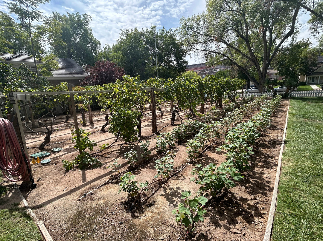 Brigham And Amelia Young Home-圣乔治必去景点