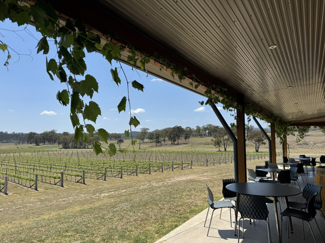 Savina Lane Wines-Severnlea必去景点