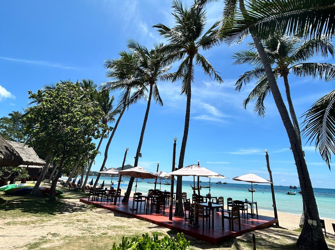 Palm Leaf Resort主图