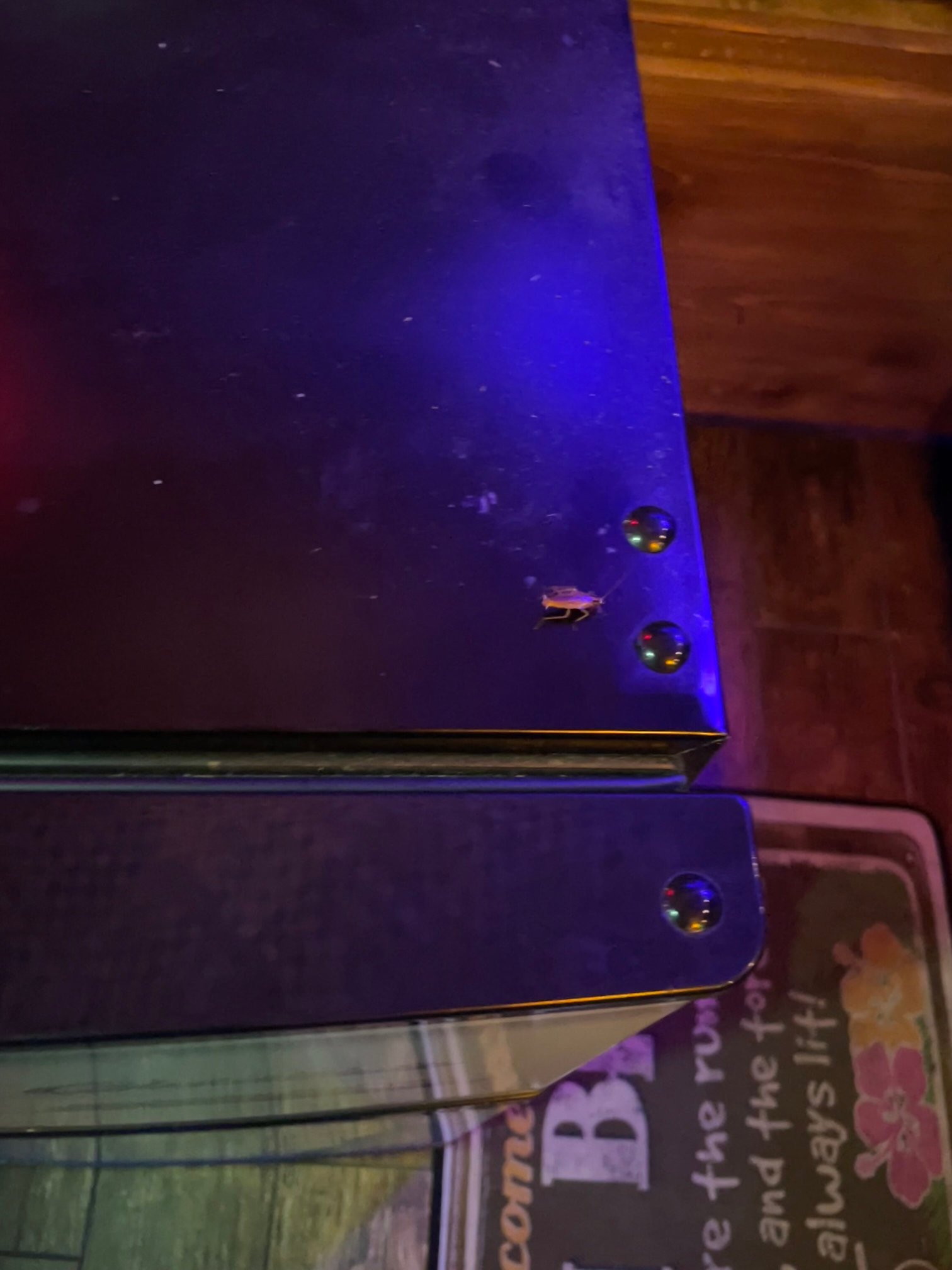 Sunset Inn & Suites-官方