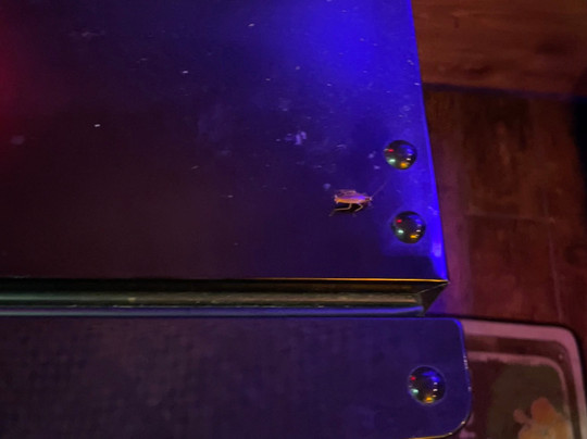 Sunset Inn & Suites主图