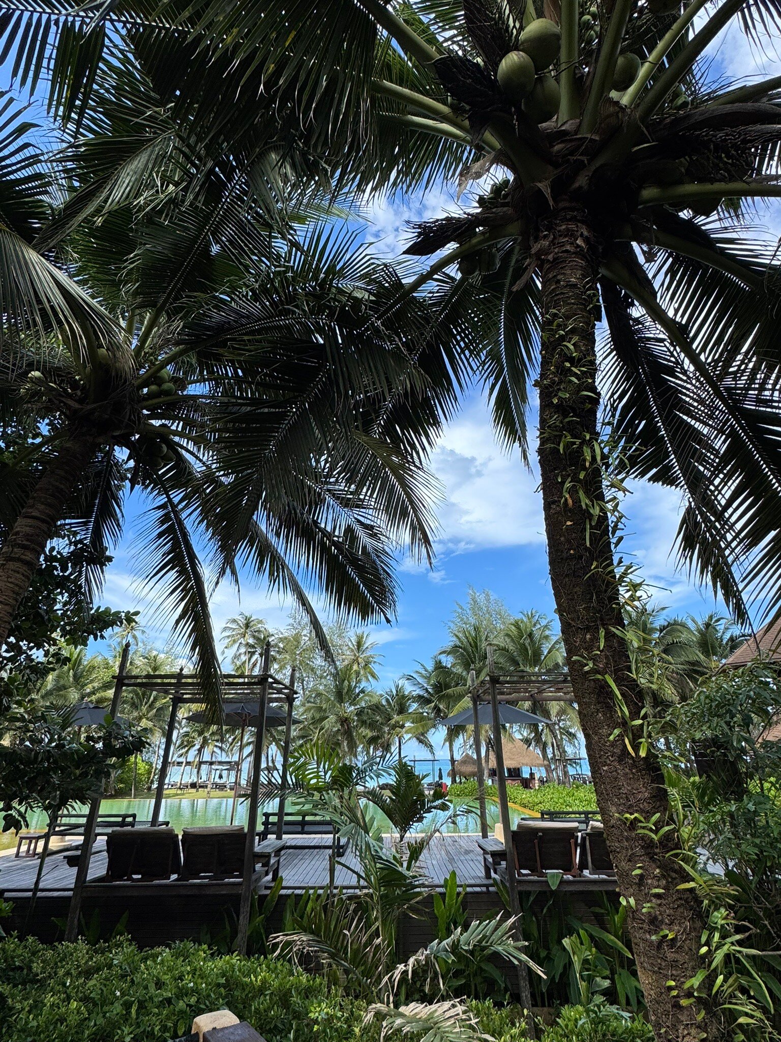 旺季泳池水疗别墅-官方