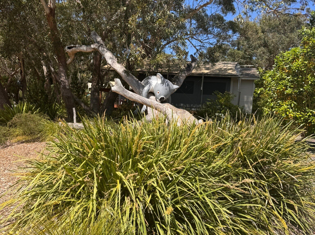 Port Stephens Koala Sanctuary-One Mile必去景点