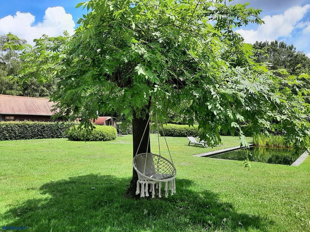 B&b De Levensboom