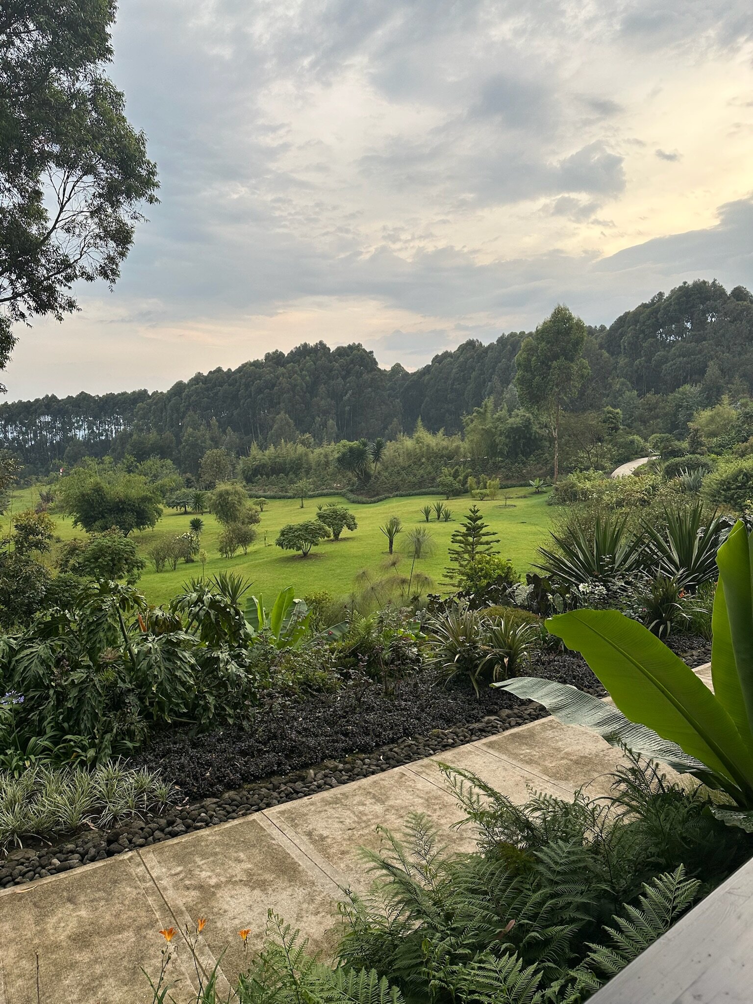 One&Only Gorilla's Nest-客卧