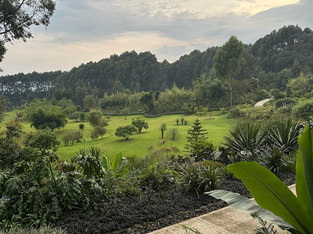 One&Only Gorilla's Nest主图