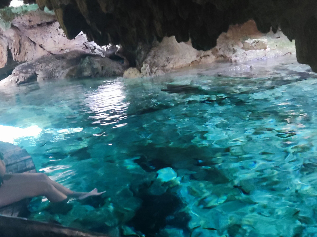 Cenote Aktun Chen-艾库玛尔必去景点