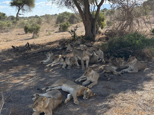 PD Tours and Safaris-蒙巴萨必去景点