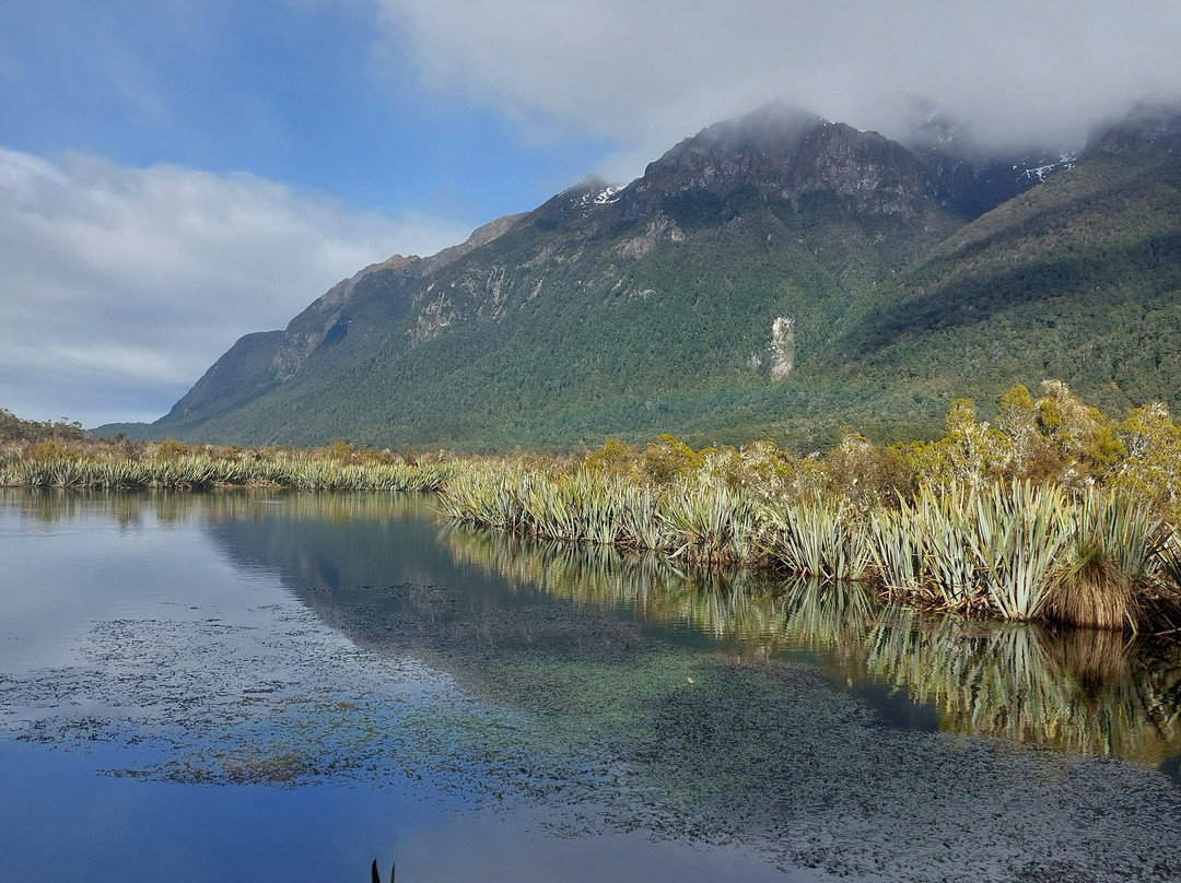 Cheeky Kiwi Travel-奥克兰中心地区必去景点
