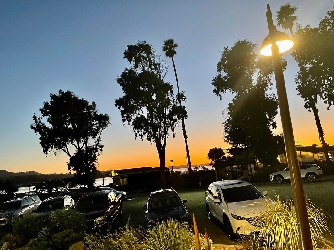 Baywood Inn Bed and Breakfast主图